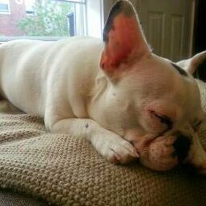 Meet your Posher, Nancy